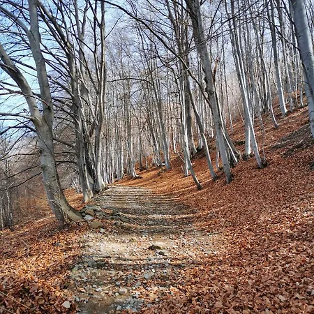 Lägenhet Casa Dello Gnomo Valsesia Rossa