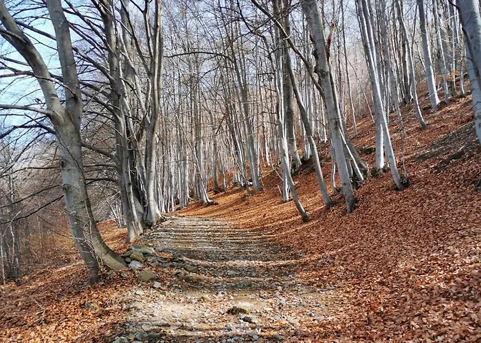 Apartmán Casa Dello Gnomo Valsesia Rossa
